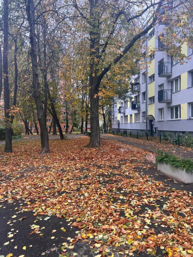 Yellow Apartment Airport Galeria Mokotow Netflix 华沙 外观 照片
